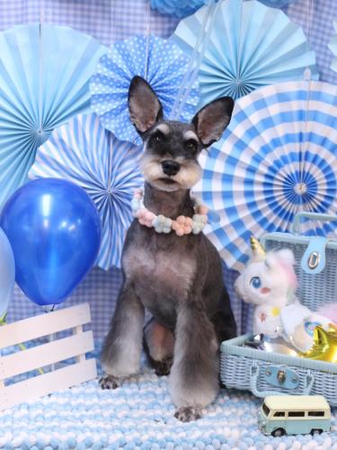 20231118ニーナちゃん